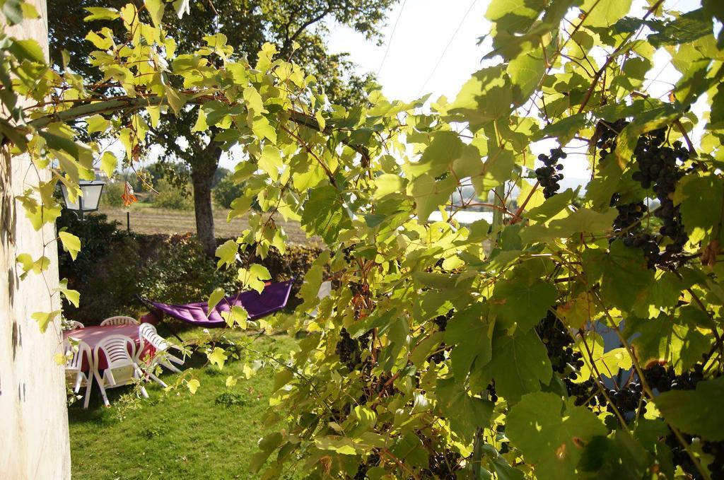 Bed and Breakfast Le Grand Noe Roisey Exterior foto